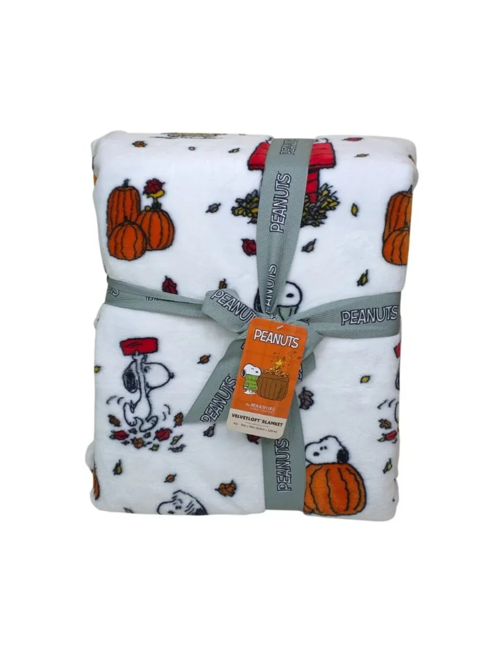 Peanuts Snoopy Velvetloft Plush Queen Blanket 90